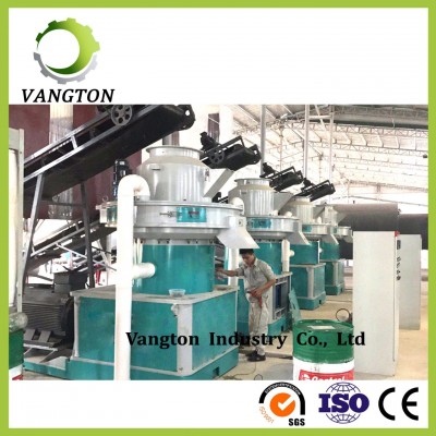 Made in China Large Complete Wood Biomass Pelletizing Machine Line